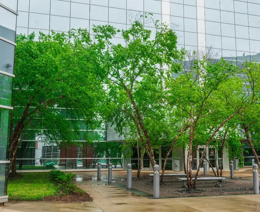 Gwinett College in Lawrenceville, Georgia