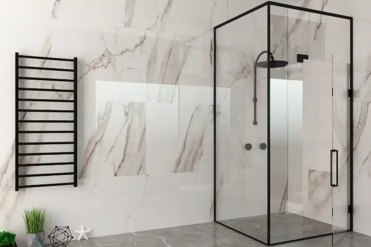 Glass Shower Door